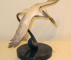 Small Open Wing Pelican