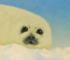 Seal Pup #2
