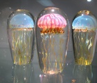 Satava Jellyfish 350