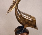 Pelican on Mooring