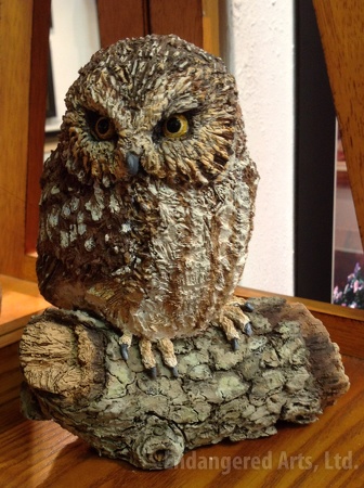 Owl on a log