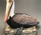 Pelican on Dock