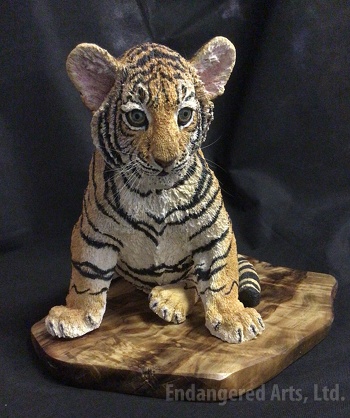 Tiger Cub on wood panel