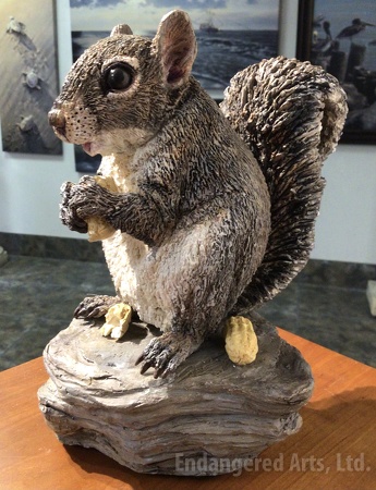 Squirrel on Rock with Peanuts